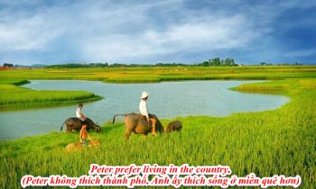 Các loại câu ɡiả định