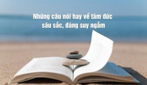 STT hay về tình yêu và cuộc sống