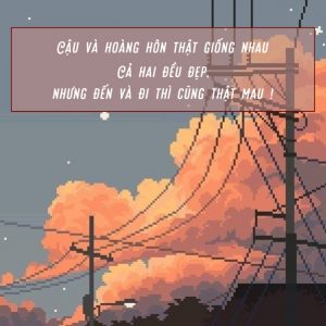 buổi chiều và anh