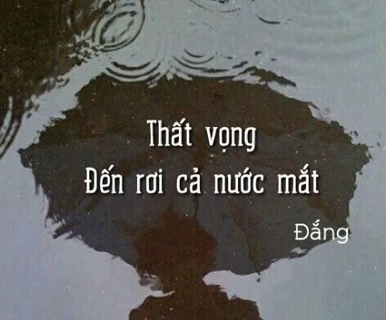 stt khóc cô đơn