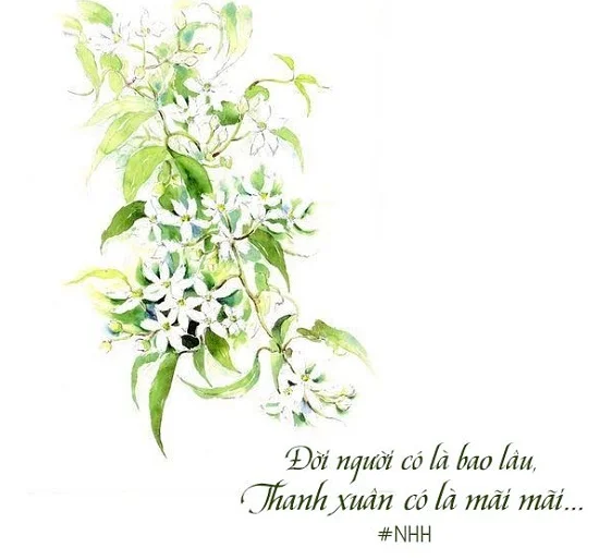 tus tuổi 20