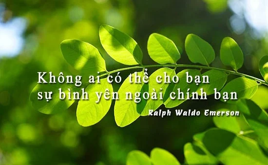 danh ngôn yên bình