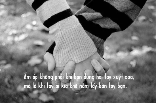 stt bàn tay hay