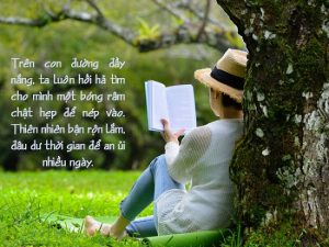 stt thiên nhiên