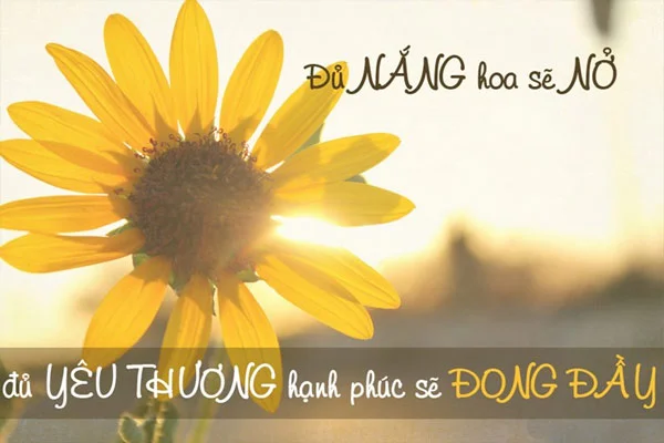 STT tiền và cuộc sống 2022 mang tính triết lý hay nhất