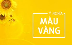 Ý nghĩa màu vàng trong tình yêu và cuộc sống