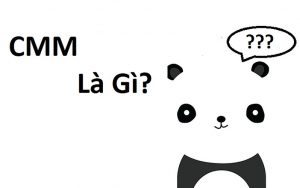 cmm là gì dcmm là gì